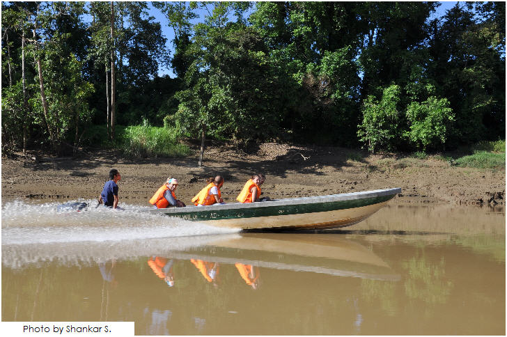 25 must visit in Malaysia, Kinabatangan River Safari, Sabah