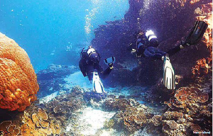 Diving in Heron Island, Australia