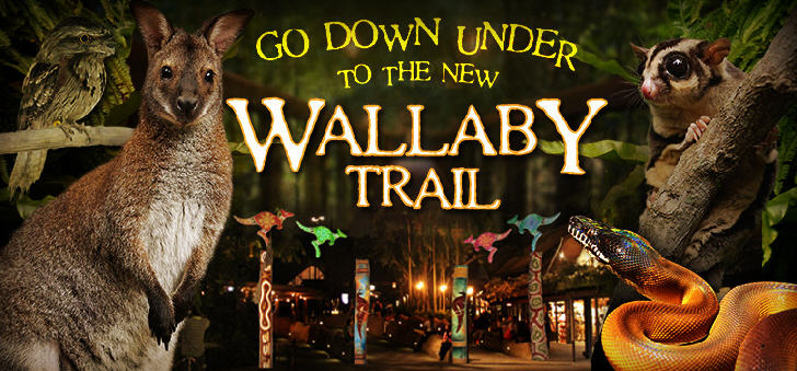 Wallaby Trail at Night Safari