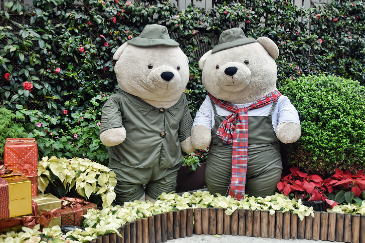 Yuletide in the Flower Dome, Christmas Wonderland, Gardens by the Bay