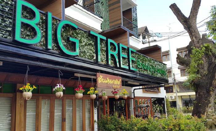 Big Tree Boutique Hotel, 27/12-14 Arak Road, T.Sriphoom, A.Muang, 50200 Chiang Mai, Thailand