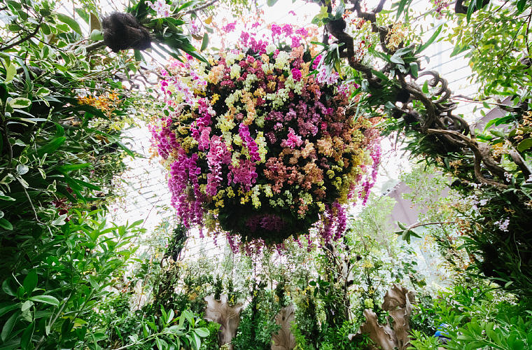 Orchid Extravaganza, Singapore Garden Festival 2016