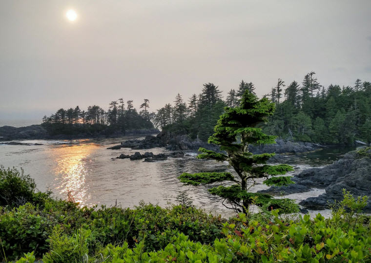 Ucluelet, Vancouver Island, BC, Canada