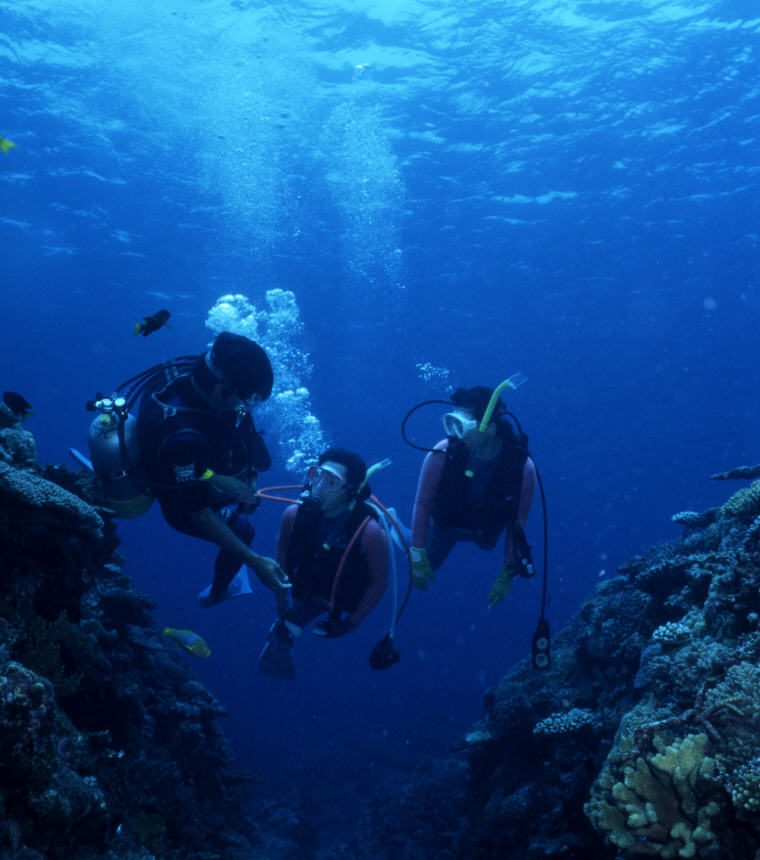 Diving in Okinawa, Top things to do in Okinawa