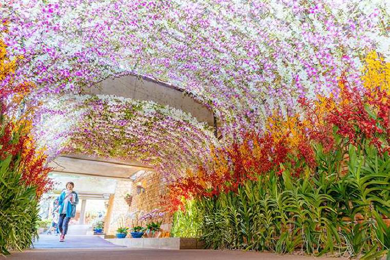 Okinawa International Orchid Show