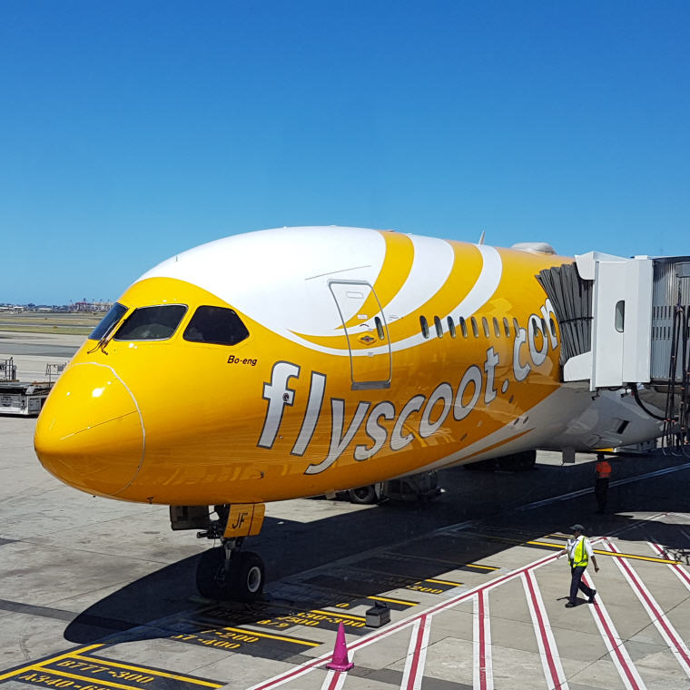 Exclusive Scoot Deals on Skyscanner