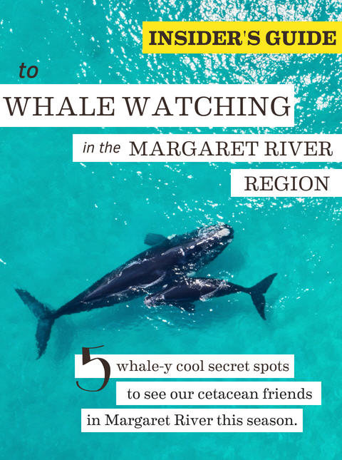 5 Whale-y cool secret spots for whale watching in the Margaret River