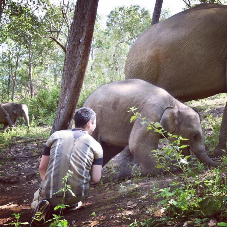 Up-close and personal experience with the elephants at Elephant Pride Sanctuary