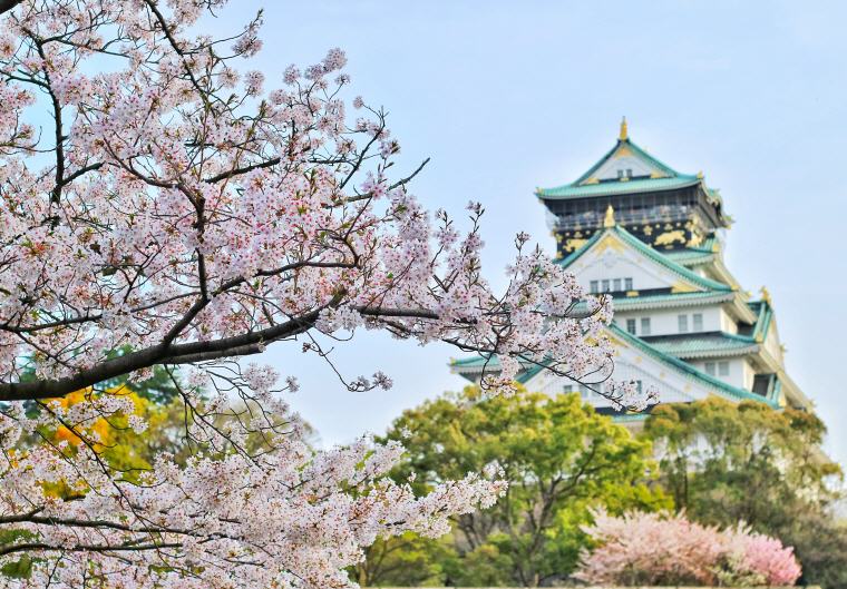 Cherry Blossom, Osaka, Japan, Best Travel Packing Tips